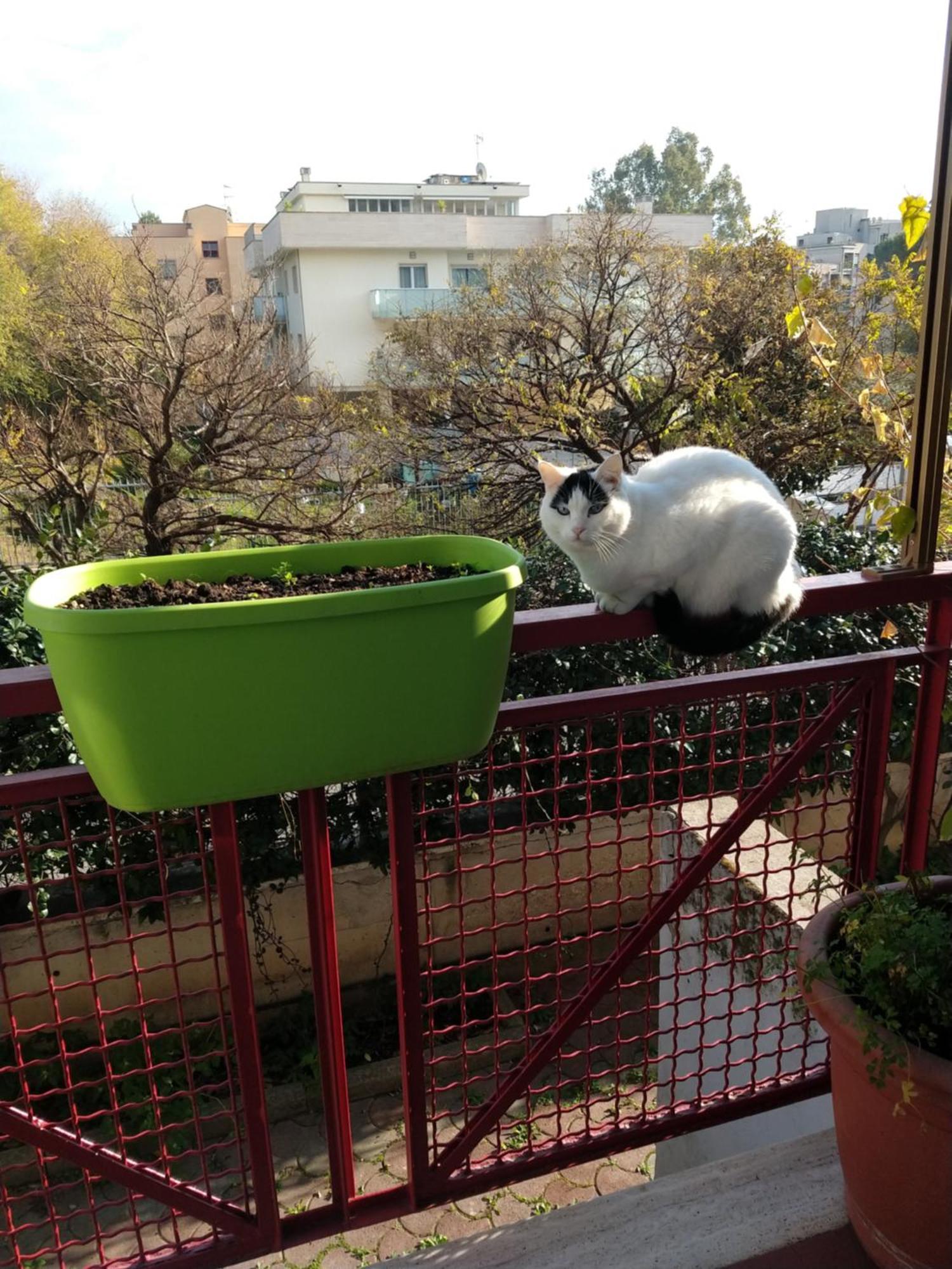 Intero Appartamento Con Giardino E Parcheggio Rom Exterior foto